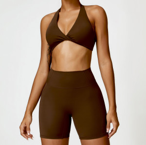 Custom bras and shorts set |Wholesale Custom Logo Yoga Set Women Fitness Sports Bra Seamless Shorts