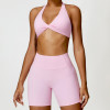Custom bras and shorts set |Wholesale Custom Logo Yoga Set Women Fitness Sports Bra Seamless Shorts