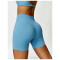 Custom bras and shorts set |Wholesale Custom Logo Yoga Set Women Fitness Sports Bra Seamless Shorts