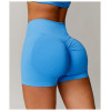 Custom Seamless Yoga Shorts |Factory Seamless Cross Yoga Shorts Sport Sexy Solid Color Women Summer