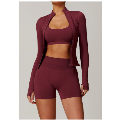 CustomSeamless Stand Collar Yoga Wear | Factory Women's Jacket Windproof Slim Warm