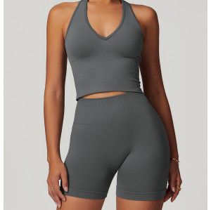 Custom Seamless sports bra |Wholesale Women Halter Sports Bra Shockproof Breathable Custom Color