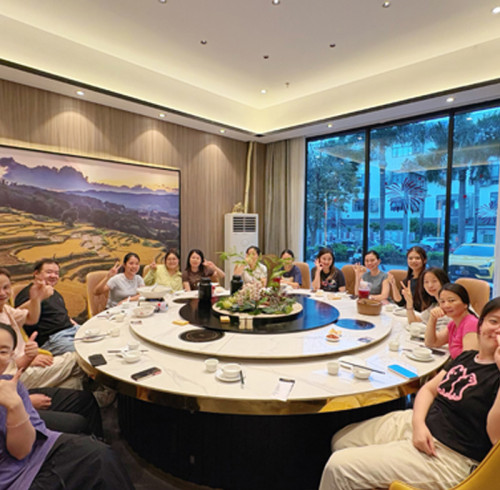 Data review meeting + company dinner