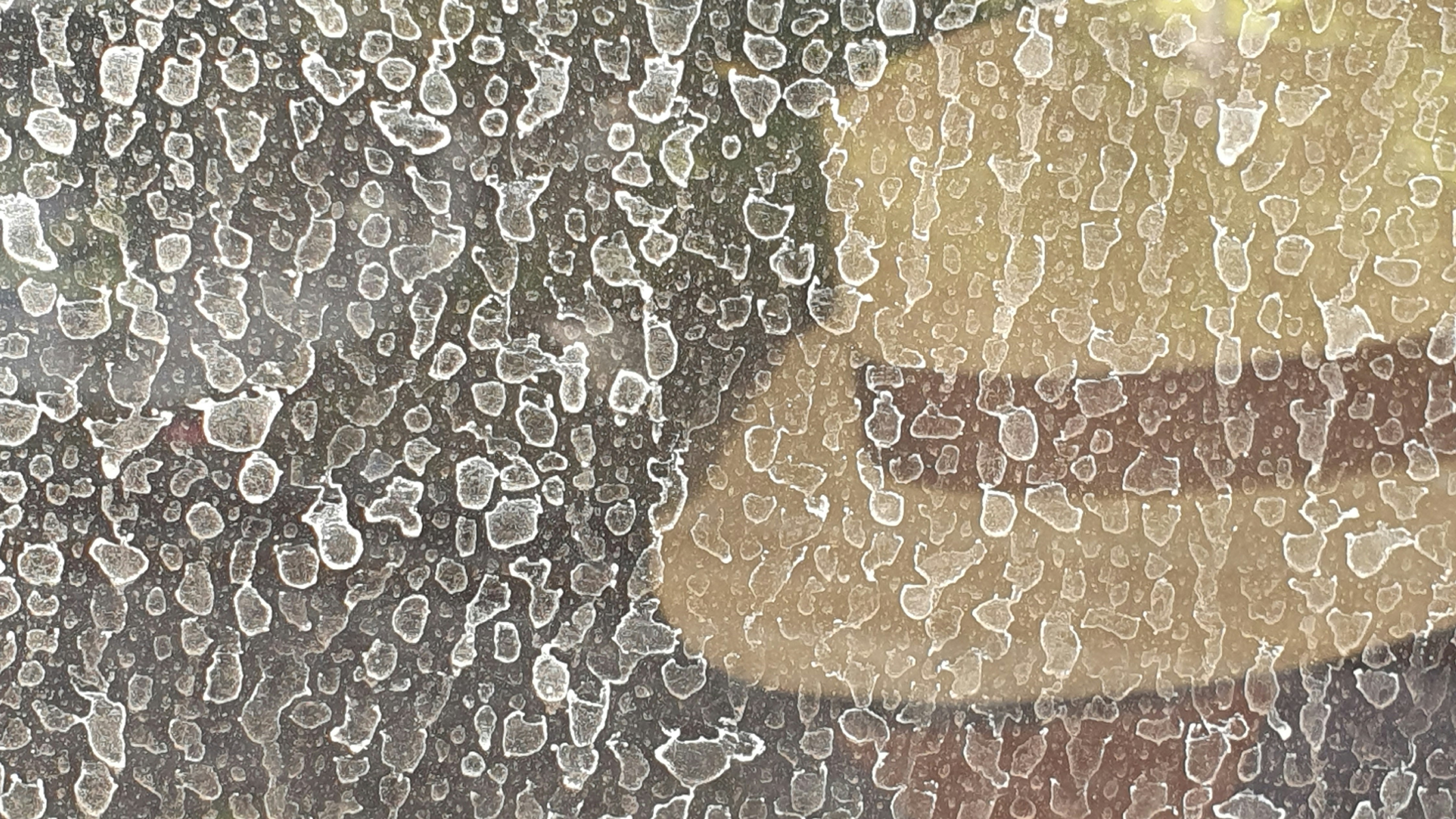 Graphic showing a plastic bottle transitioning into recycled polyester thread and then into a finished men's gym shirt, with an icon for organic cotton next to it.