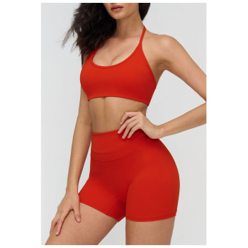 Custom Yoga bra|Wholesale Yoga bra Yoga halter neck bra with open back for fitness running sports