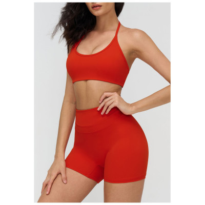 Custom Yoga bra|Wholesale Yoga bra Yoga halter neck bra with open back for fitness running sports