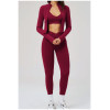 Custom Yoga Sets|Wholesale Women's Zip-Up Casual Fitness Set (Suitable for Outdoor Cycling)