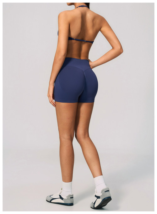 Custom Yoga Sets|Wholesale Lycra seamless yoga suit for women backless halter neck and quick-drying