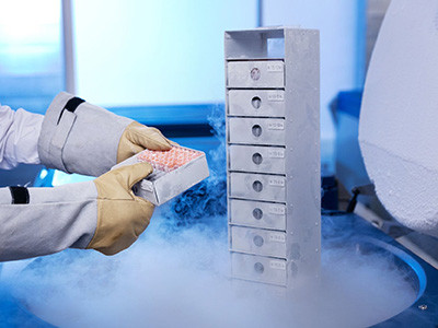 Cryoconservation