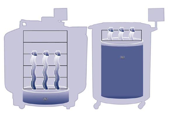 working_principle_of_bio_sample_container_liquid_nitrogen