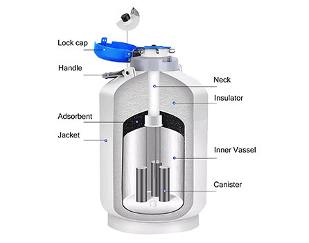inner structure_liquid nitrogen container_liquid nitrogen tank_liquid nitrogen dewar_liquid nitrogen sample container_Liquid Nitrogen Biological Container_portable cryogenic container