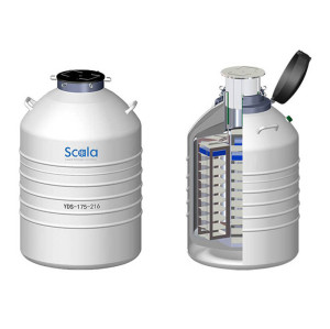 175L Large Volume Biological Sample Cryogenic Container -196℃ Liquid Nitrogen Tank