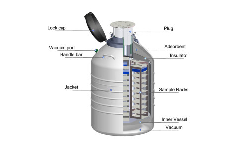 65L liquid nitrogen container 216mm open low LN2 consumption sample freezing tissue vaccine