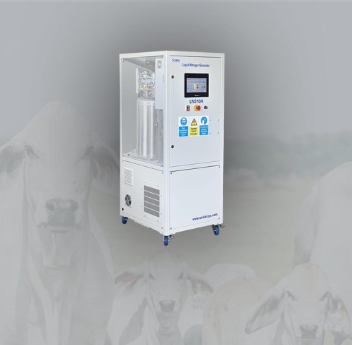 拓展非洲：斯卡拉落地马拉维畜牧业液氮机项目