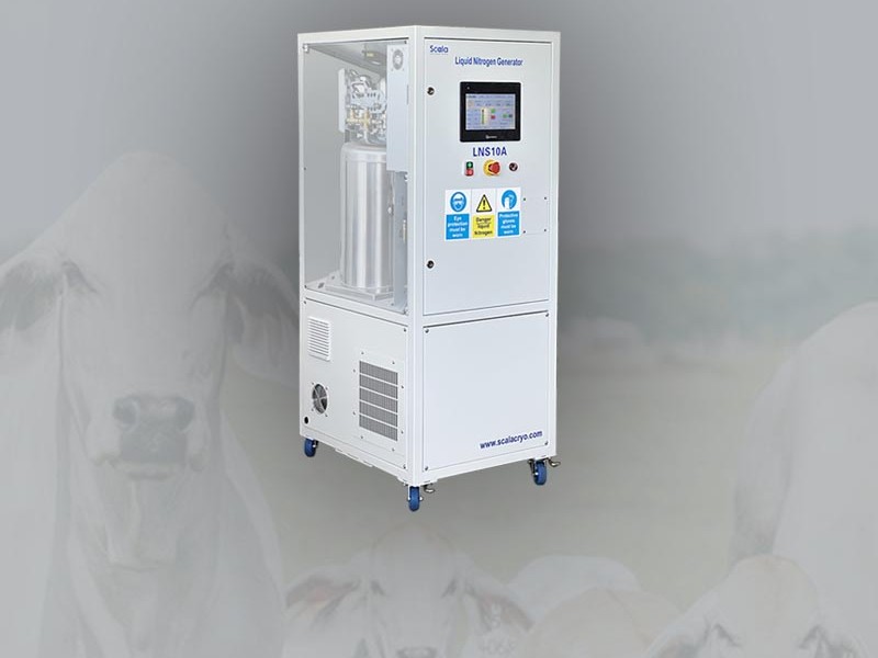 Scala Expands into Africa with Malawi Livestock Liquid Nitrogen Generator Project