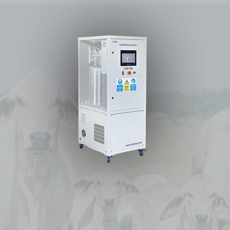 Scala Expands into Africa with Malawi Livestock Liquid Nitrogen Generator Project