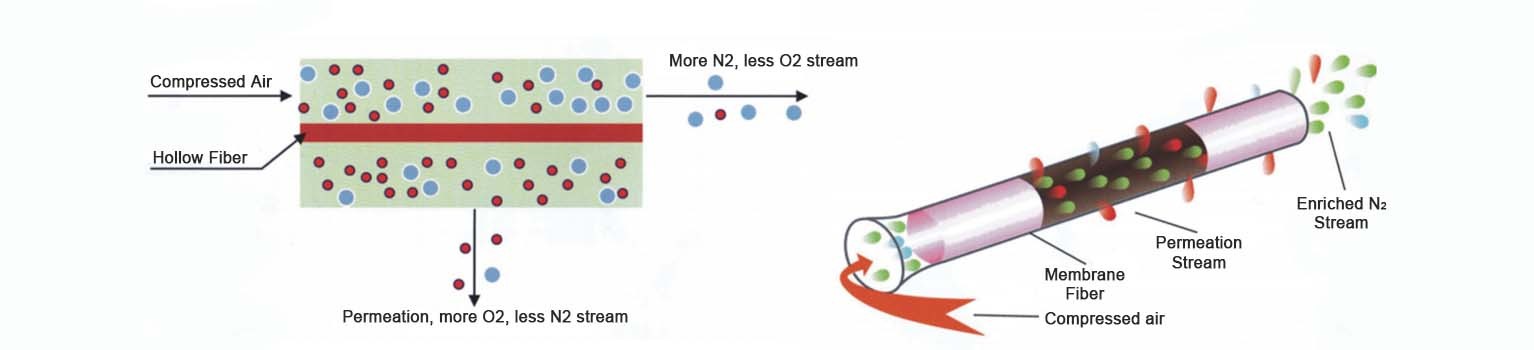 membrane nitrogen generator_membrane model_working diagram_membrane nitrogen separation technology