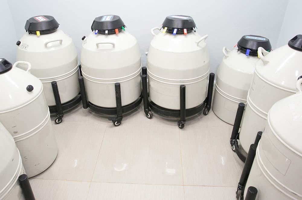 NMR_nmr spectroscopy_liquid nitrogen generator_small liquid nitrogen generator_liquid nitrogen generator manufacturer_liquid nitrogen plant_liquid nitrogen system_liquid nitrogen machine