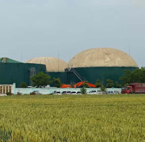 El director de seguridad de la empresa brasileña de energías renovables elogia el mejorador de biogás de Scala.