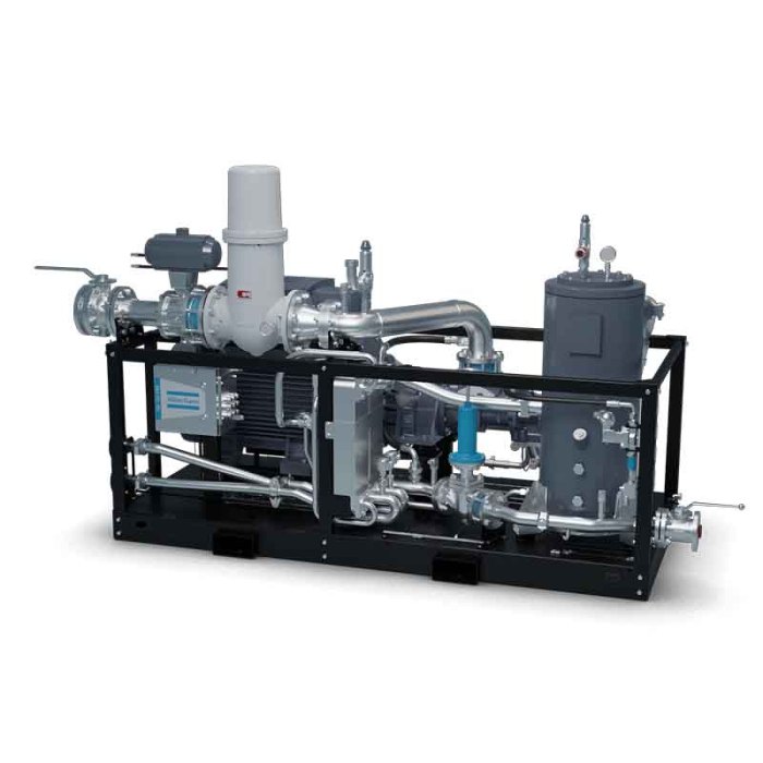 190-920 Nm3/hr Biogas Compression System with Atlas VSD Gas Compressor