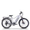 Urban Electric Commuter Bike 60 mile range 300 lbs payload capacity 750w motor OEM/ODM