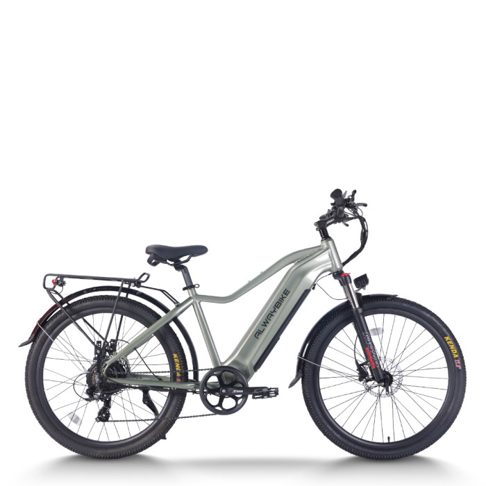 Urban Electric Commuter Bike 60 mile range 300 lbs payload capacity 750w motor OEM/ODM