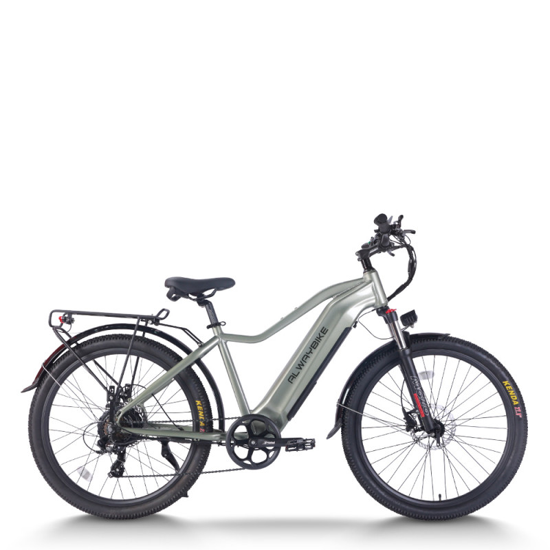 Urban Electric Commuter Bike 60 mile range 300 lbs payload capacity 750w motor OEM/ODM