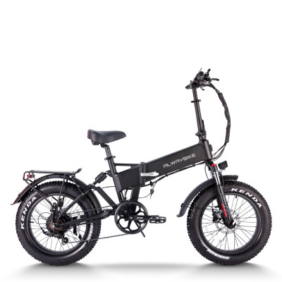 Fat tire Folding ebike Powerful & Portable 750W Motor 48V13Ah Battery 20x4.0 Tires OEM/ODM