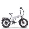 Fat tire Folding ebike Powerful & Portable 750W Motor 48V13Ah Battery 20x4.0 Tires OEM/ODM