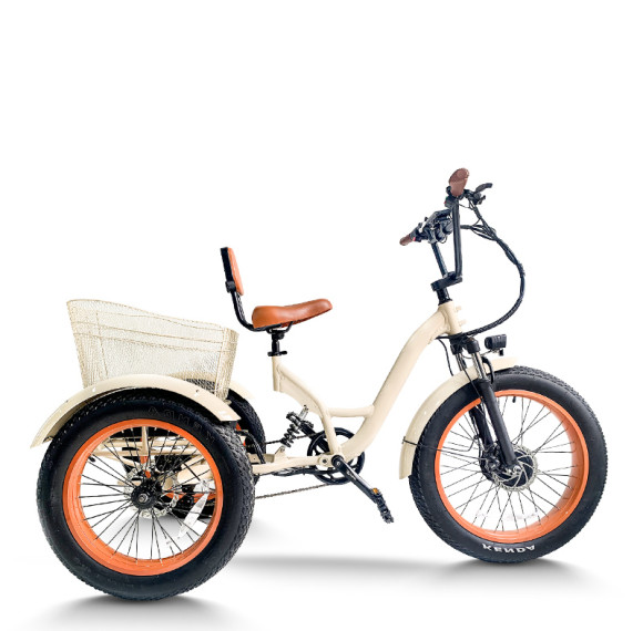 cargo e trike | e tricycle | e-trikes electric tricycles ET08