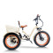Fat Tire & Backrest Seat 500W 48V cargo e-tricycle OEM B2B Wholesale Comfortable Ride Enhanced Cargo