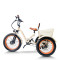 Fat Tire & Backrest Seat 500W 48V cargo e-tricycle OEM B2B Wholesale Comfortable Ride Enhanced Cargo