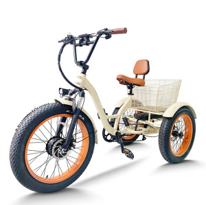 cargo e trike | e tricycle | e-trikes electric tricycles ET08