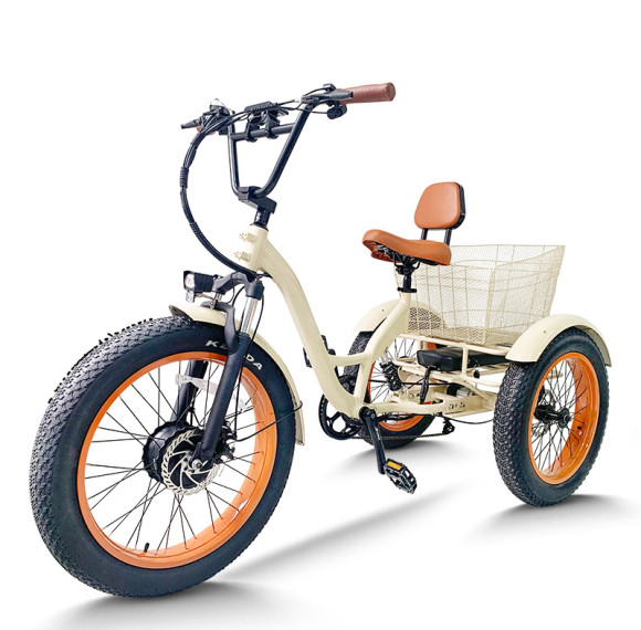 Fat Tire & Backrest Seat 500W 48V cargo e-tricycle OEM B2B Wholesale Comfortable Ride Enhanced Cargo