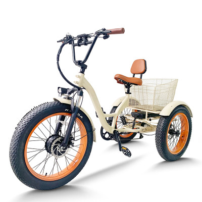 Fat Tire & Backrest Seat 500W 48V cargo e-tricycle OEM B2B Wholesale Comfortable Ride Enhanced Cargo