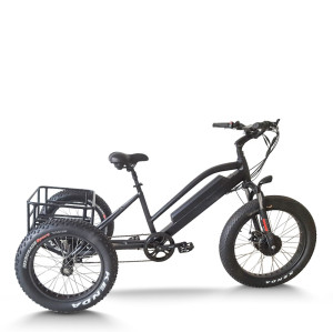 Fat Tire & XL Basket 500W Cargo E-Tricycle Heavy-Duty & Delivery OEM B2B Wholesale Robust Design