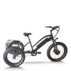 Fat Tire & XL Basket 500W Cargo E-Tricycle Heavy-Duty & Delivery OEM B2B Wholesale Robust Design