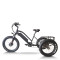 Fat Tire & XL Basket 500W Cargo E-Tricycle Heavy-Duty & Delivery OEM B2B Wholesale Robust Design