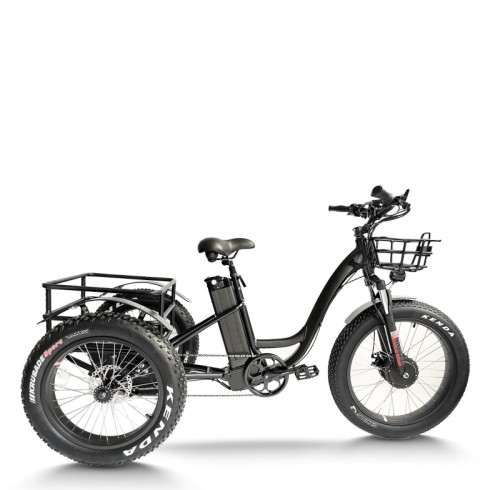 e-trikes electric tricycles | cargo e trike | fat tire e tricycle ET06