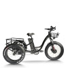 Fat Tire Dual 500W, 48V cargo e-tricycle OEM B2B Wholesale Smooth Ride & High-Capacity Options