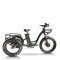 Fat Tire Dual 500W, 48V cargo e-tricycle OEM B2B Wholesale Smooth Ride & High-Capacity Options