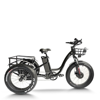 e-trikes electric tricycles | cargo e trike | fat tire e tricycle ET06