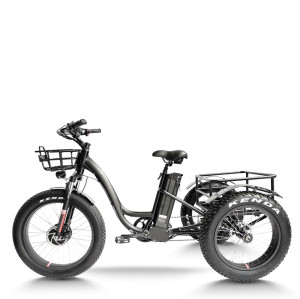 e-trikes electric tricycles | cargo e trike | fat tire e tricycle ET06