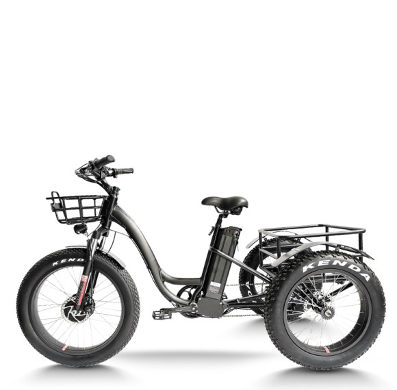 Fat Tire Dual 500W, 48V cargo e-tricycle OEM B2B Wholesale Smooth Ride & High-Capacity Options