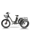 Fat Tire Dual 500W, 48V cargo e-tricycle OEM B2B Wholesale Smooth Ride & High-Capacity Options