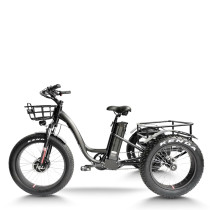 e-trikes electric tricycles | cargo e trike | fat tire e tricycle ET06