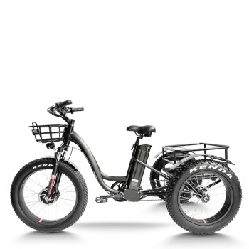 Fat Tire Dual 500W, 48V cargo e-tricycle OEM B2B Wholesale Smooth Ride & High-Capacity Options