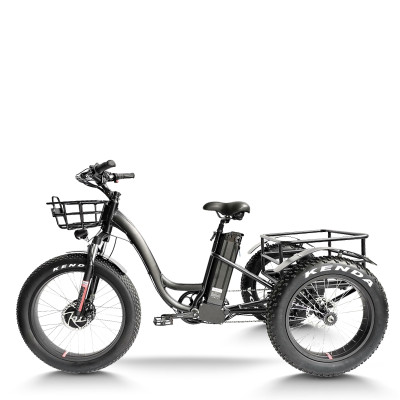 Fat Tire Dual 500W, 48V cargo e-tricycle OEM B2B Wholesale Smooth Ride & High-Capacity Options