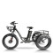 Fat Tire Dual 500W, 48V cargo e-tricycle OEM B2B Wholesale Smooth Ride & High-Capacity Options