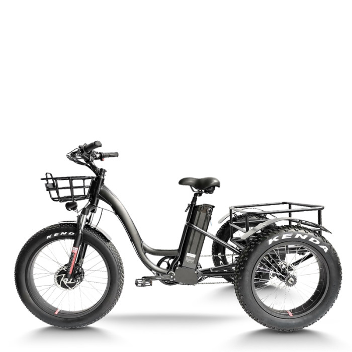 Fat Tire Dual 500W, 48V cargo e-tricycle OEM B2B Wholesale Smooth Ride & High-Capacity Options